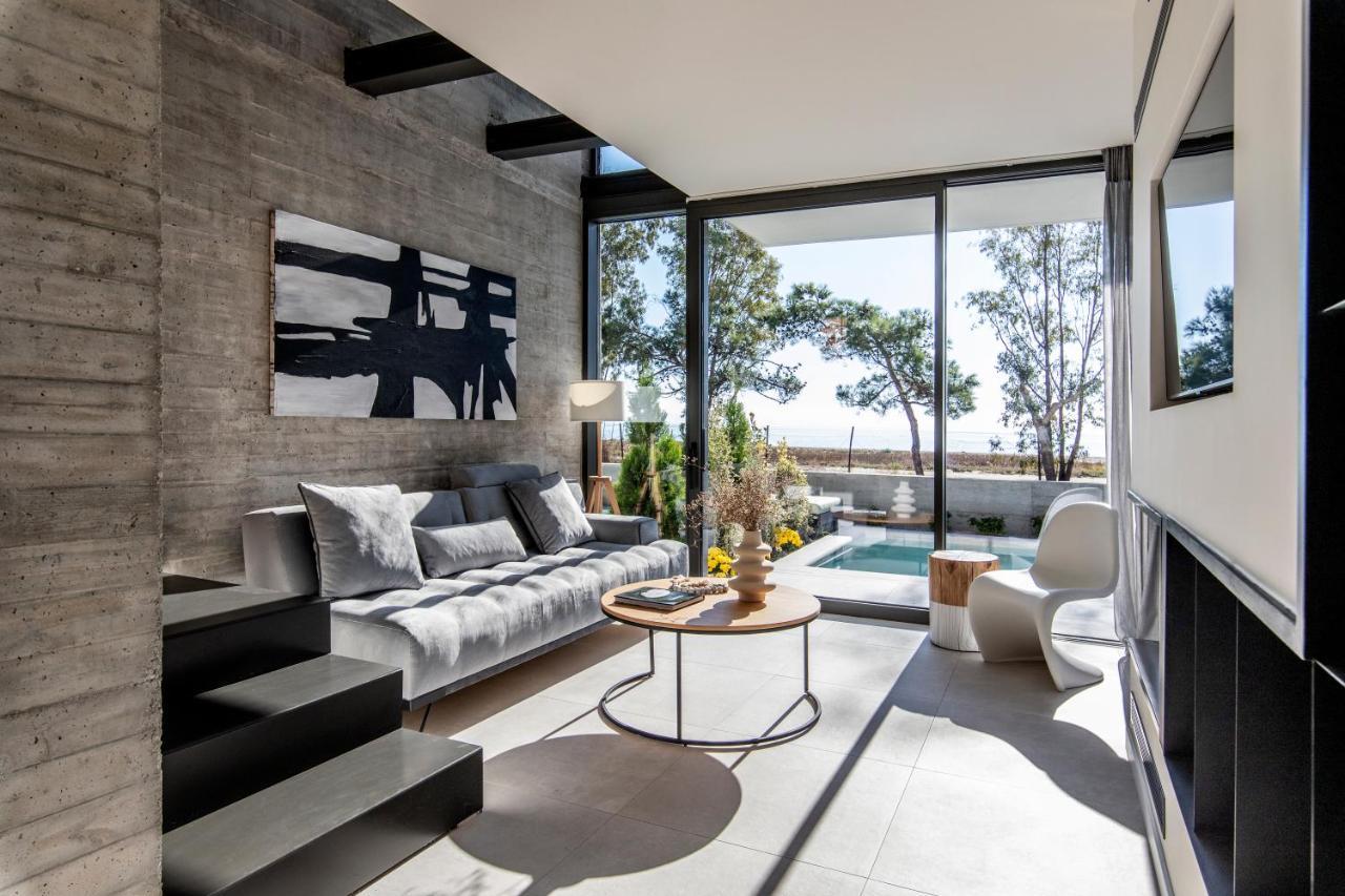 Ikies 3 Modern Eco-Friendly Private Seaview Signature Villas With A Pool Volos Exterior foto